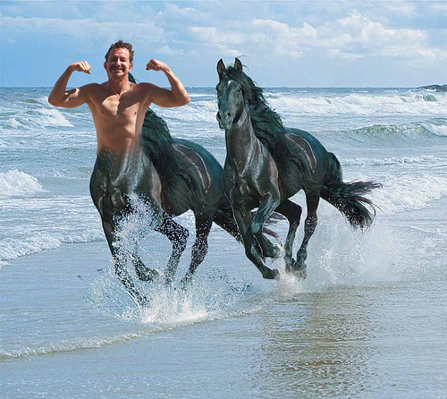 2167424253_0128d39038 2167424253_0128d39038