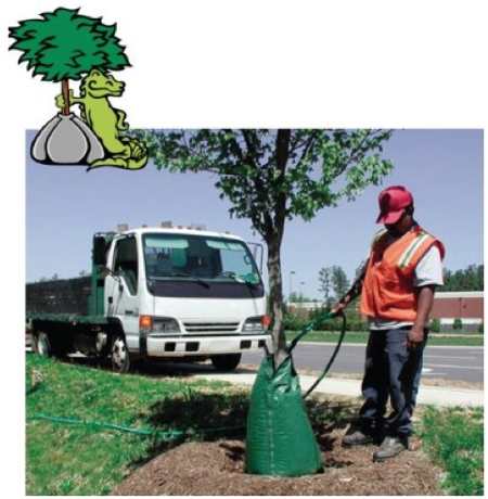 watering-trees-with-treegator