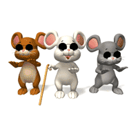 mice3