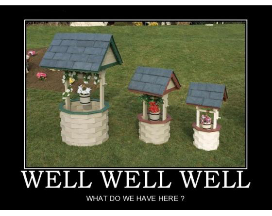 wellwellwell