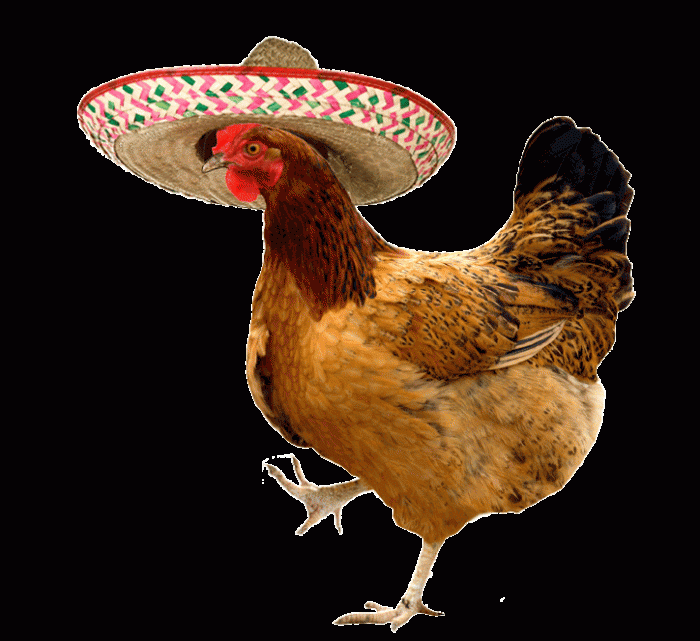 chicken_sombrero
