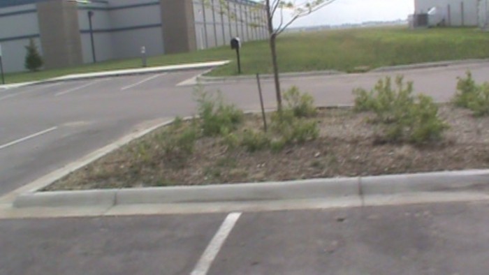 Tall weeds on north side of tennis building