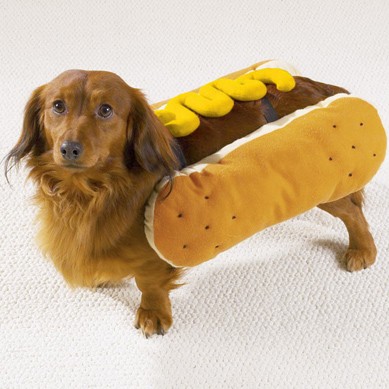 Hot-Dog---Mustard--small